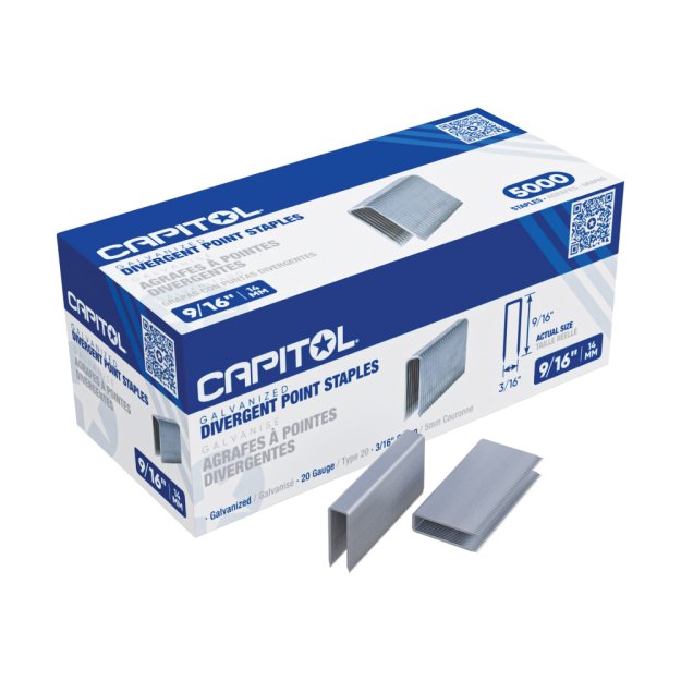 (image for) CAPITOL 110013-8 9/16" Divergent Point Carpet Staples - 5000 Per Box