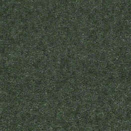 Seven Seas 12 Ft. 100% Continuous Filament Nylon 17.5 Oz. Carpet -Logan