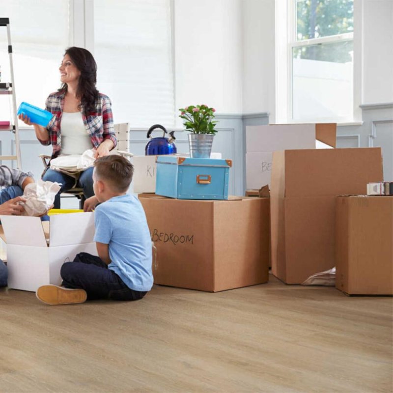 (image for) Artisian Mills Apollo SPC 7" x 48" Luxury Vinyl Plank - 2148005