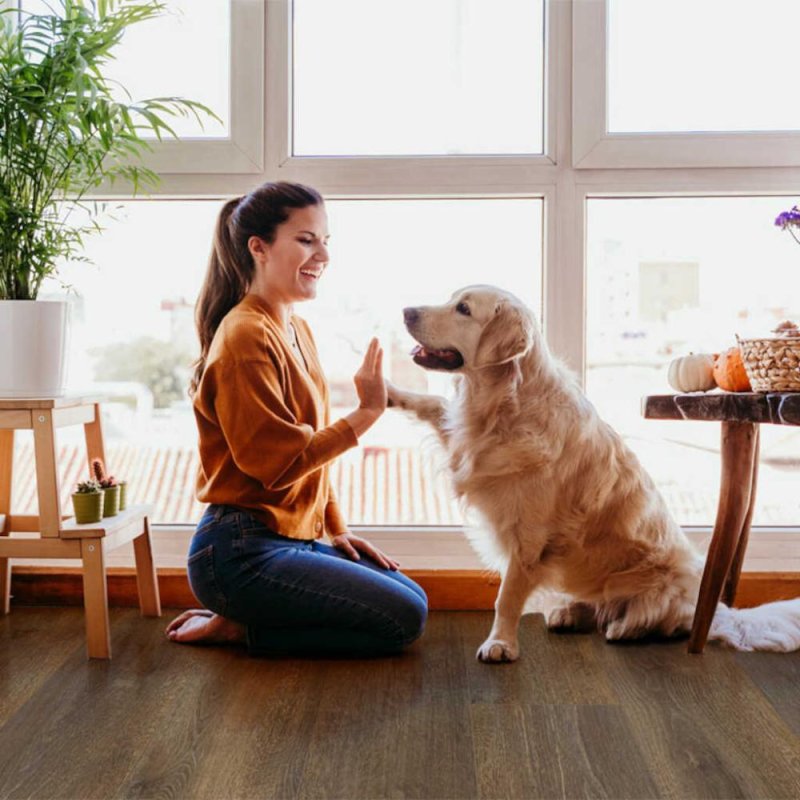 (image for) Artisian Mills Atlas SPC 9" x 60" Luxury Vinyl Plank - 2148010