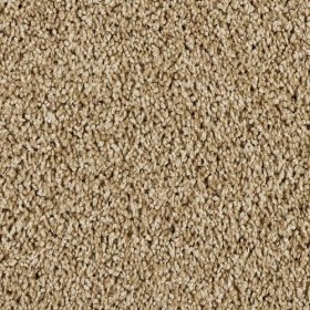 SFI Clever - 4654 Wise