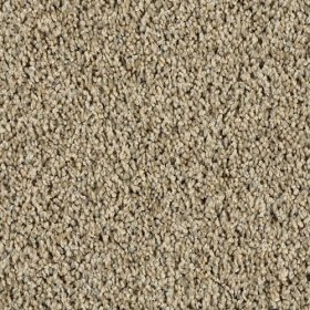 SFI Clever - 4657 Capable