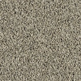 SFI Clever - 4661 Brainy