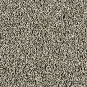 SFI Clever - 4662 Sharp