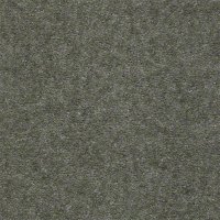 Aspen Classic 12 Ft. 100% Continuous Filament FHA Nylon 25 Oz. Carpet - Boston Fern