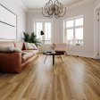 (image for) BHW Heartland SPC 9" x 60" Luxury Vinyl Plank - Peoria 55684
