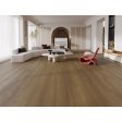 (image for) BHW Cayman SPC 9" x 73" Luxury Vinyl Plank - West Bay 55805