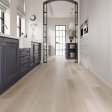 (image for) BHW Park 7" x 48" Luxury Vinyl Plank DB - Glacier 71023