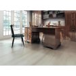 (image for) Nuvelle Titan 9.05" x 60" SPC Waterproof Luxury Vinyl Plank - Acier DENTN8
