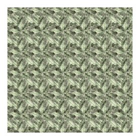 Maxxi Floors 24 x 48 Rectified Porcelain Tile - Amazonia