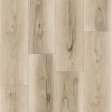 (image for) Signature Collection SelectStyle Pro20 SPC 7 x 48 Plank - Antique Lace - SSPANTLA