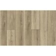 (image for) LIONS FLOOR Bambino 7" x 48" SPC Vinyl Plank - Dolce BB-I