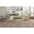(image for) LIONS FLOOR Bambino 7" x 48" SPC Vinyl Plank - Coffee Feather BB-VI