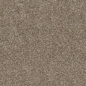 (image for) CHESAPEAKE High Five 100% Solution-Dyed Polyester Carpet - 12'