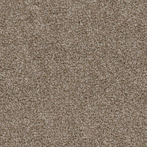 (image for) CHESAPEAKE High Five 100% Solution-Dyed Polyester Carpet - 12'