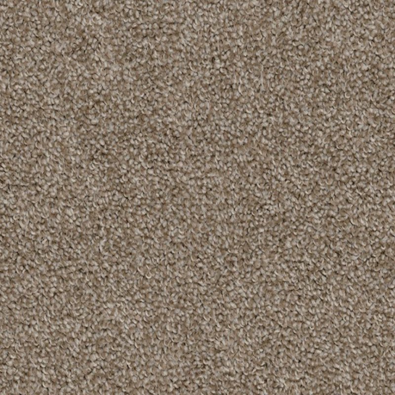 CHESAPEAKE High Five 100% Solution-Dyed Polyester Carpet - 12\'