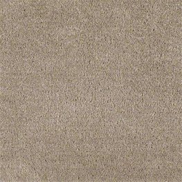 Bonus 12 Ft. 100% Continuous Filament FHA Nylon 25 Oz. Carpet - Gift