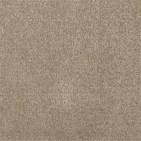 Bonus 12 Ft. 100% Continuous Filament FHA Nylon 25 Oz. Carpet - Present