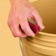 (image for) Bucky Tools BT-BUCKY01 Bucky Scrape