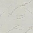 (image for) Primo WoodTile 12" x 24" Waterproof Laminate Plank - Carrara PT842CR-P