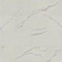 (image for) Primo WoodTile 12" x 24" Waterproof Laminate Plank - Carrara PT842CR-P