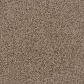 SFI Friends - 4449 Chandler II