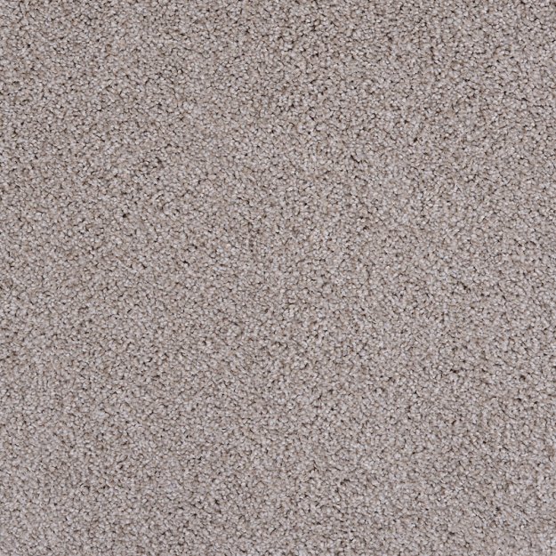 (image for) Horizon 100% Solution-Dyed Polyester Carpet - 12'