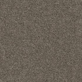CHESAPEAKE Cozy Ridge 100% Solution-Dyed Polyester Carpet - 12'