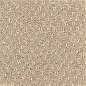 SFI Decaf - 3415 Hazelnut