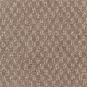 SFI Decaf - 3417 Cappuccino