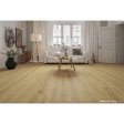 (image for) Chesapeake Flooring FirmFit Matte XXL SPC 9.1" x 60.3" Luxury Vinyl Plank - Corbin EWH5614