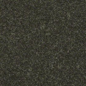 SFI Field Trip - 9627 Everglades