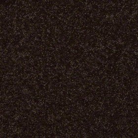 SFI Field Trip - 9629 Metro Zoo