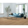 (image for) Quick-Step NatureTek Select Ellicott Point 7 1/2" x 54.34" Waterproof Laminate Plank - Gilded Page Oak 39570-148