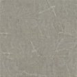 (image for) Primo WoodTile 12" x 24" Waterproof Laminate Plank - Grigio PT844GR-P