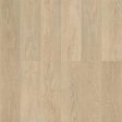 (image for) Chesapeake Flooring Hemisphere 7" x 60" Rigid Core Luxury Vinyl Plank - Meridian HEM401
