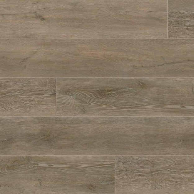 (image for) MetroFlor Reserve 7" x 48" SPC Vinyl Plank - Forest Oak FA204