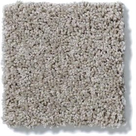 SFI Karma - 3951 Success