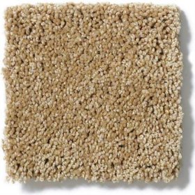 SFI Karma - 3956 Predestination