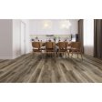 (image for) LIONS FLOOR Natural Essence Plus 9" x 60" SPC Vinyl Plank - Medieval - LI-NE212