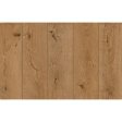 (image for) LIONS FLOOR Lone Star Spirit XL 9" x 72" SPC Vinyl Plank - Oak Exotica - LI-TS203