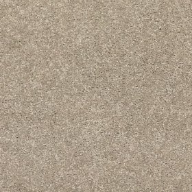 (image for) SFI Metropolis - 4484 Managua-Ni