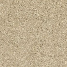 (image for) SFI Metropolis - 4494 Montenegro - Br