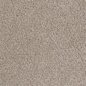 SFI Milestone II - 1738 First Kiss