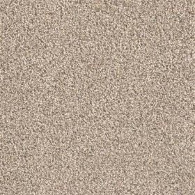 SFI Milestone II - 1739 Driver's License