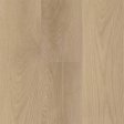 (image for) Next Floor Amazing Pro 7" x 48" Rigid Click LVP- Golden Oak 537 123