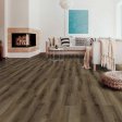 (image for) Next Floor Wildwood 7" x 60" Luxury Vinyl Plank - Rich Hickory NF581010