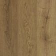 (image for) Next Floor Botanica 7.8" x 48" Luxury Vinyl Plank - Classic Oak NF587203