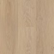(image for) Next Floor Amazing Pro 7" x 48" Rigid Click LVP- Light Sand Oak 537 126