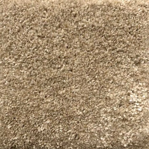 (image for) Next Floor Pashmina 12' Wide Ultrasoft Broadloom Soluton Dyed PET Carpet - Fawn NF217003